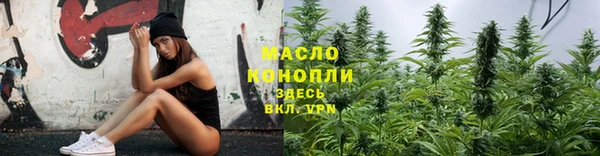 гидра Абаза