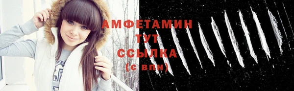 гидра Абаза