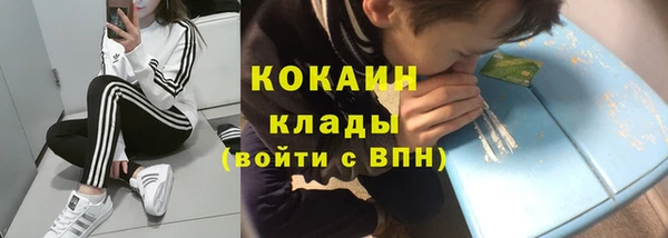 гидра Абаза