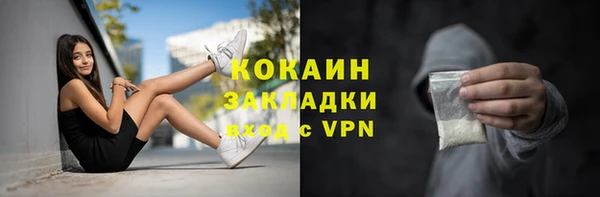 гидра Абаза