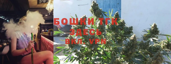 гидра Абаза